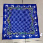 Shawl & Scarf - Image 2