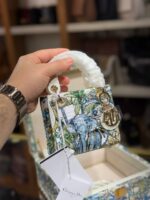Trunk and Micro Lady Dior - Image 2